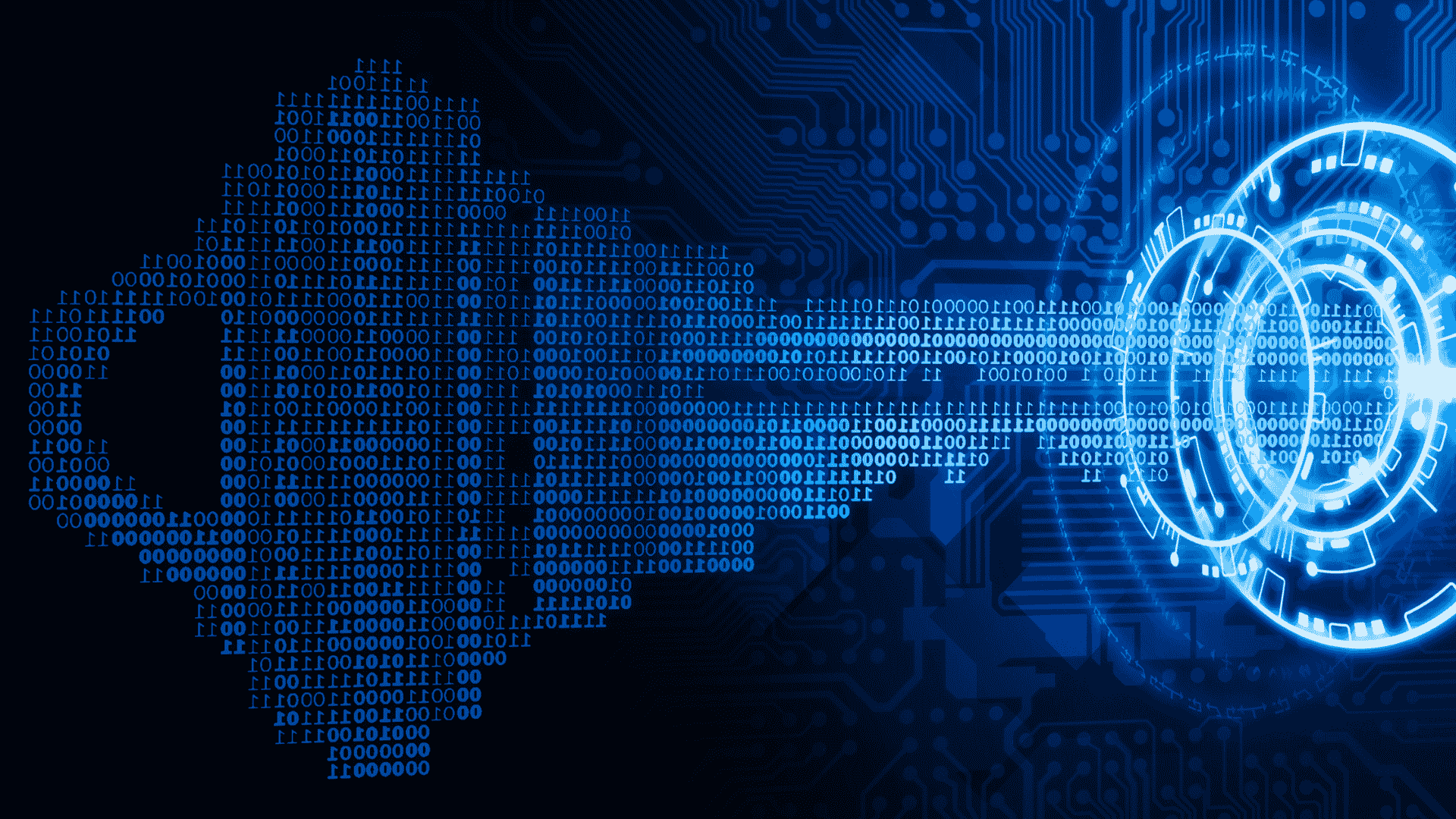 data_vault