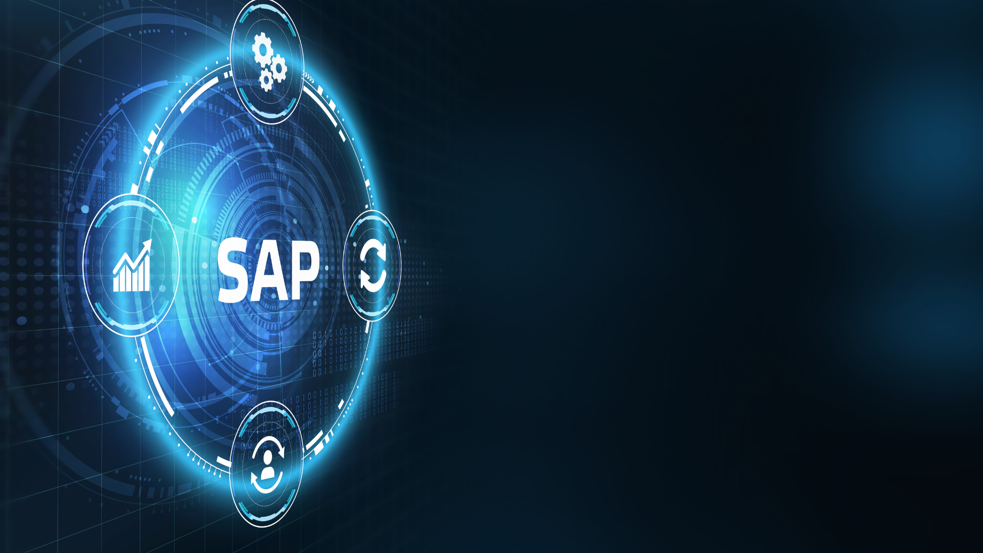 Rise_with_SAP_S4Hana